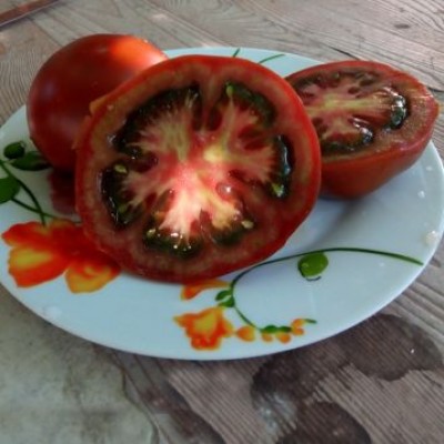 Семена томата тёмно-коричневого Силиври F1 (100 семян), Libra Seeds (Erste Zaden), индетерминантный